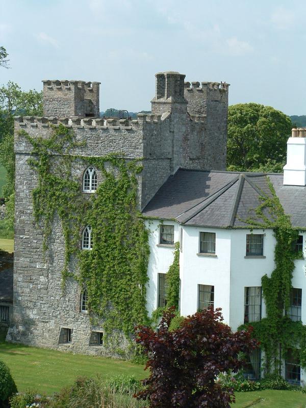 Barberstown Castle Ξενοδοχείο Straffan Εξωτερικό φωτογραφία